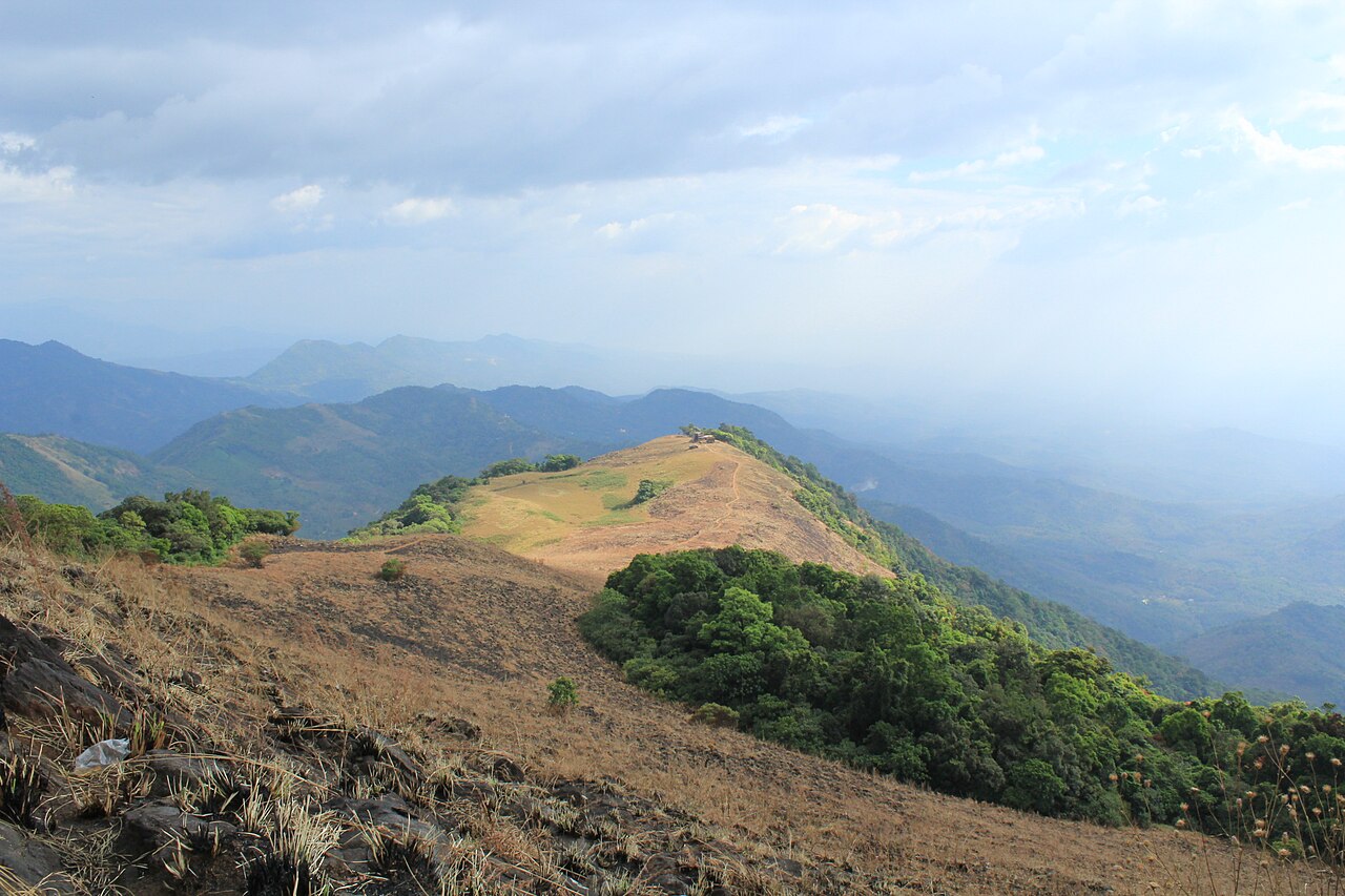 Paithalmala is a picturesque hill station located in the Kannur district of Kerala, India. Situated near the Kerala-Karnataka border, Paithalmala is known for its lush greenery, rolling hills, and panoramic views of the surrounding valleys and forests.The hill station is a popular trekking destination, offering various trekking trails that cater to both beginners and experienced trekkers. The trek to the top of Paithalmala is relatively easy, making it accessible to people of all ages. Along the trekking trails, visitors can enjoy the serene beauty of the Western Ghats, with its diverse flora and fauna.